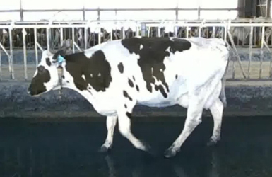 Test_001 Test_001