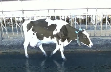 Test_002 Test_002