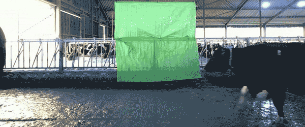 Test_003_LOSSY Test_003_LOSSY