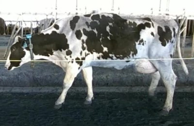 Test_007 Test_007