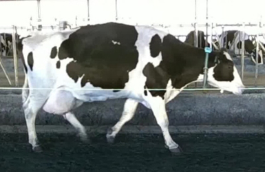 Test_009 Test_009