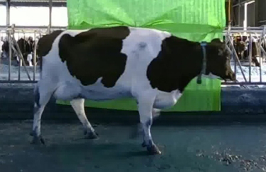 Test_010 Test_010
